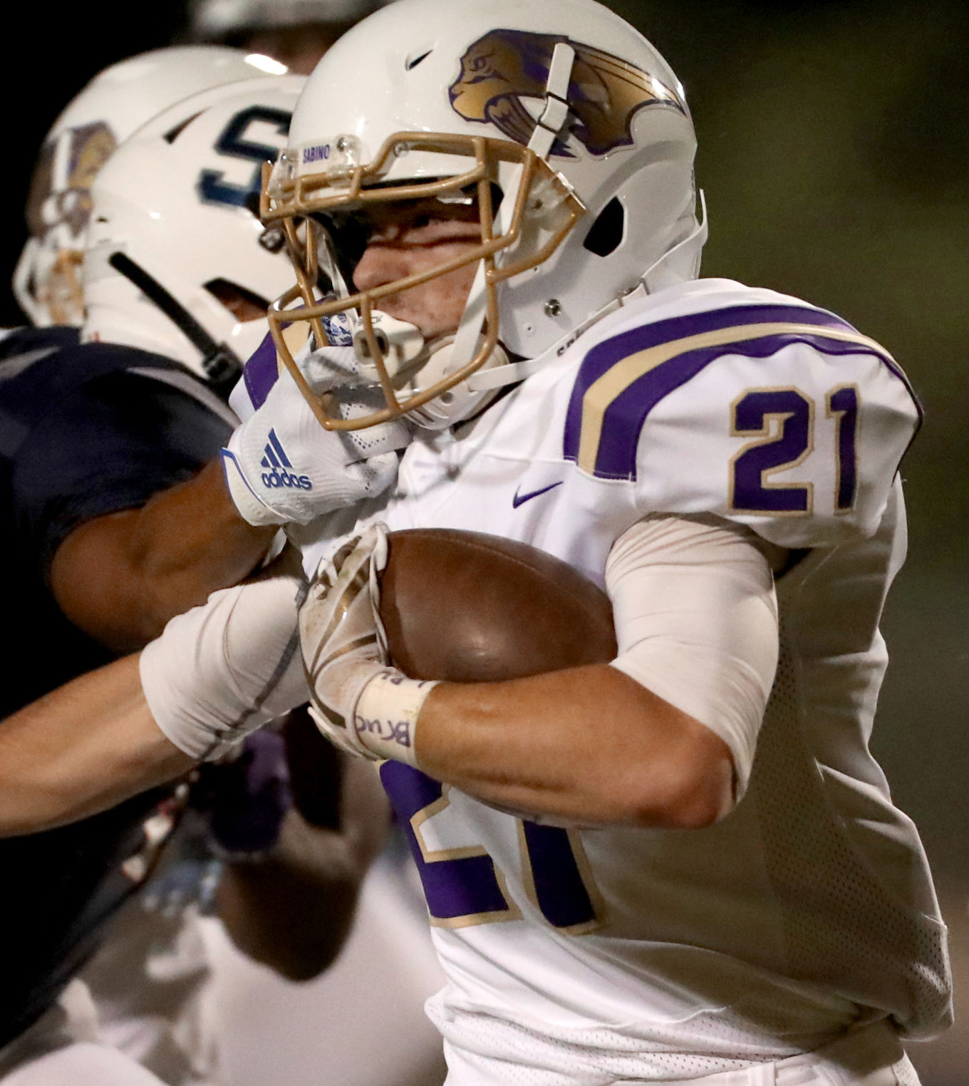 Sabino vs Sahuaro